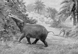 Trilophodon
