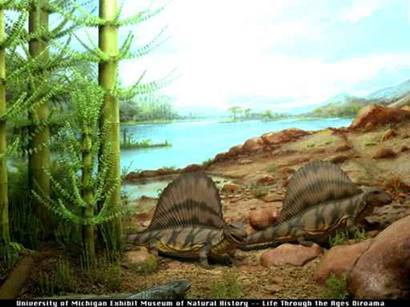 Permian scene