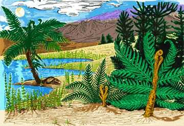 Permian savanna-like biome