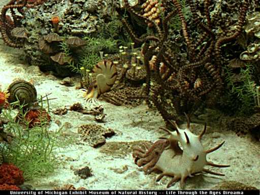 Permian reef scene - click here for higher resolution image