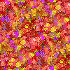 multiflowered thumbnail