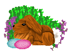 easter bunny