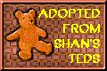 ted button 1