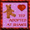 ted button 4