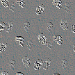 skulls