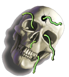 skull worms