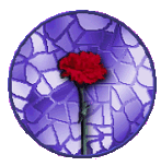 carnation