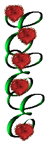 heart ribbon