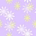 snowy lilac