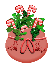 christmas plant pot