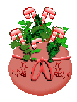 christmas plant pot small