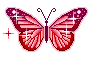 gif003.butterflyred.gif