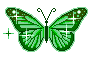 gif003.butterflyred.gif