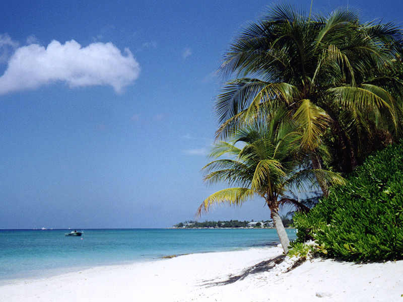 Nord del cemeterio in Grand Cayman. 