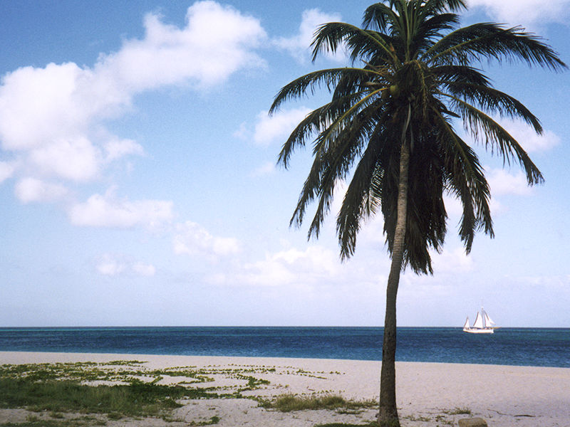 Eagle Beach area, Aruba.