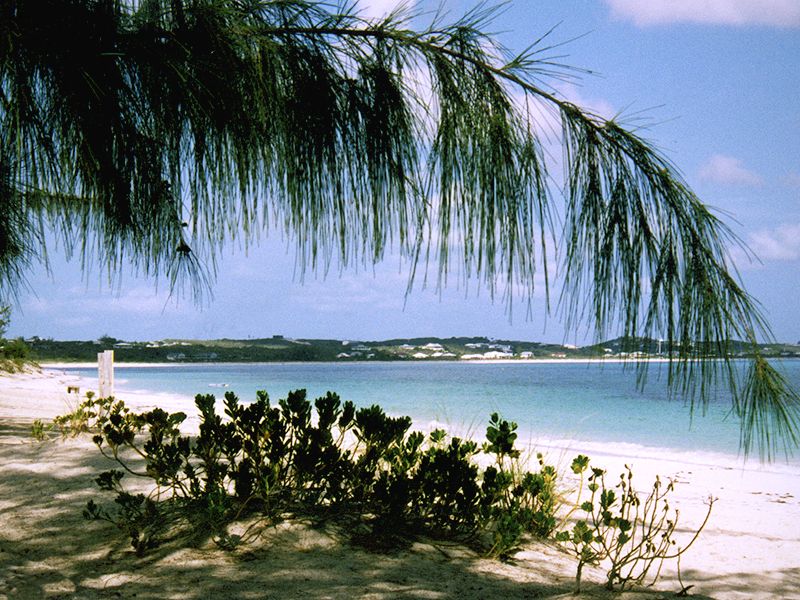 Turks & Caicos - Beaches Resort, Grace Bay