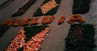 São Brás de Alportel * Procissão das Tochas * Tapete de Flores