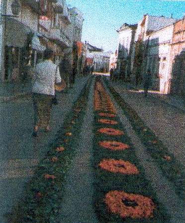 São Brás de Alportel - Procissão das Tochas * Rua tapete de flores