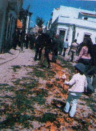 São Brás de Alportel - Procissão das Tochas * Rua tapete de flores