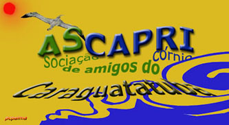 Navegar atrav&eacute;s da P&aacute;gina Principal