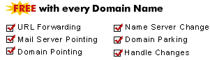 url forwarding / name server change / mail server pointing / domain parking / domain pointing / handle changes