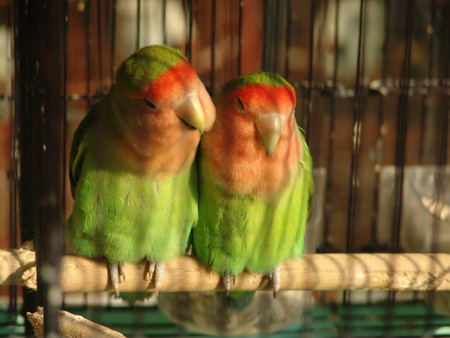 DSC01850