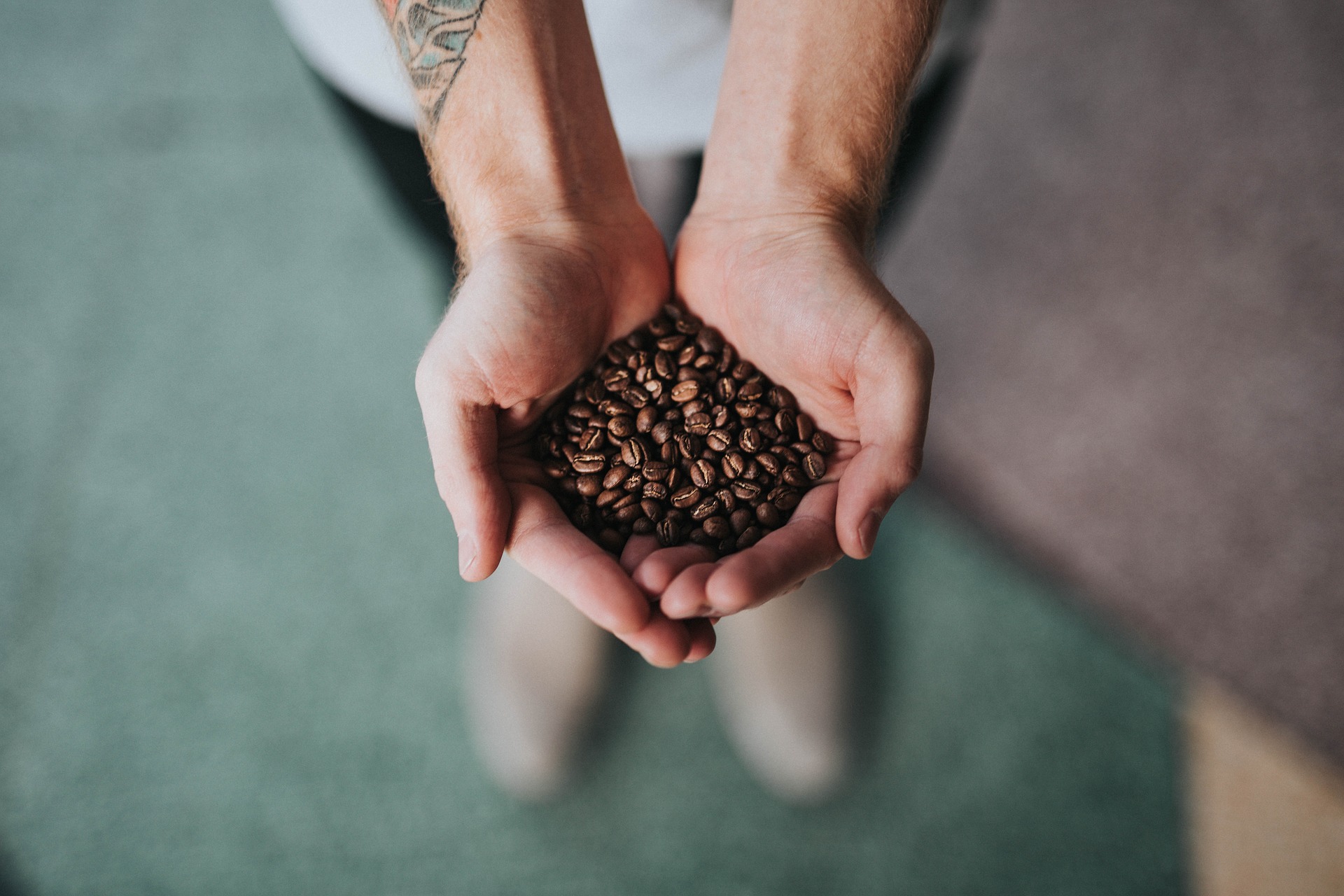 Beans in Hand