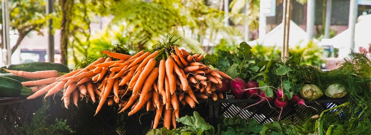 Farm Fresh To Table