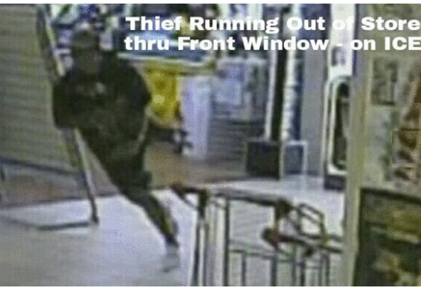 The Mad Dingo - Mugger, Thief, Purse Snather - Speedster on ICE Drug - 'The Dingo Stole My Cellphone !!!'