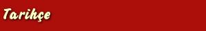 t1.jpg (3595 bytes)