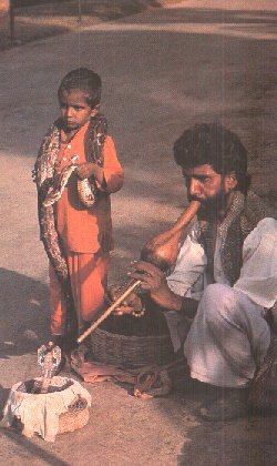 [A snake charmer]