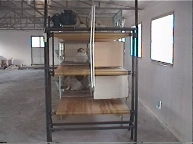 angora1.JPG