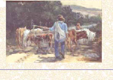 Boiadeiro