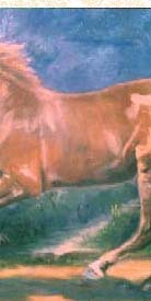 Velocidade