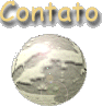 Contato