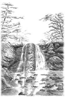 Fabiano - "Cachoeira"