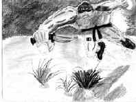 golfinho_rafael.jpg (19453 bytes)