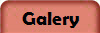 Galery