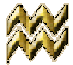 aquarius sign