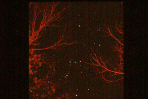 orion.jpg (40085 bytes)