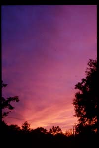 richmondsunset2.jpg (11849 bytes)