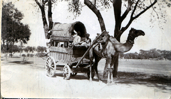 India carriage 