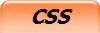 CSS
