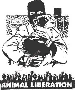liberation