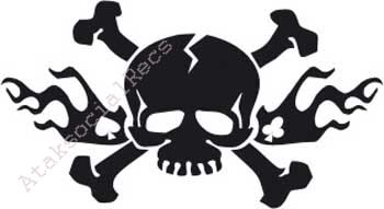 skull