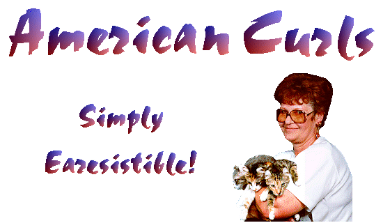 Earesistible! Cattery, American Curls and 
Scottish Folds
