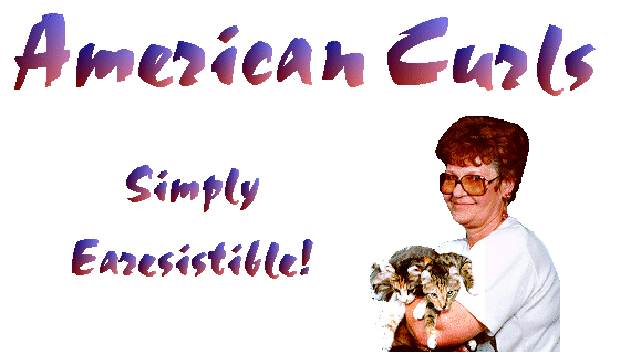 Earesistible! Cattery, American Curls and
Scottish Folds