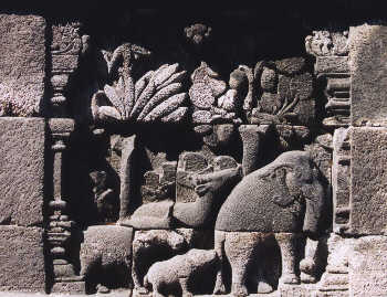 Jataka du daim-ruru 1