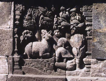 Jataka du daim-ruru 2