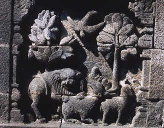 Jataka du pivert